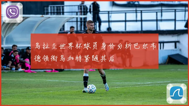 乌拉圭世界杯球员身价分析巴尔韦德领衔乌加特紧随其后