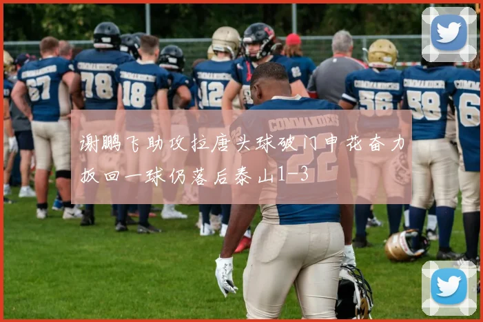 谢鹏飞助攻拉唐头球破门申花奋力扳回一球仍落后泰山1-3